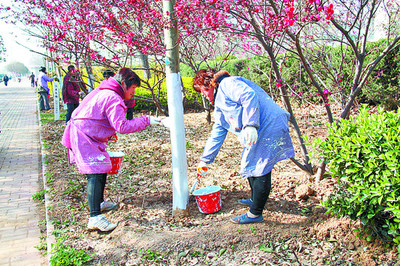 河南鹤壁淇滨区栽植苗木1320万余株造林12万亩